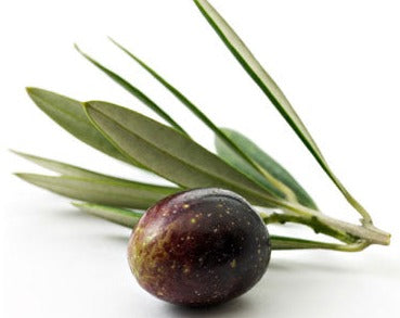 Bio-Détox Intestin Grêle